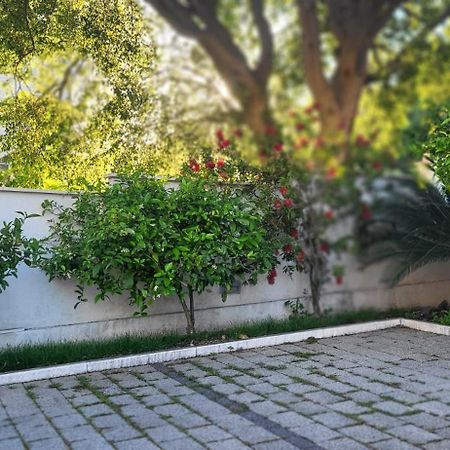 Apartments Villa Alba Dubrovník Exteriér fotografie