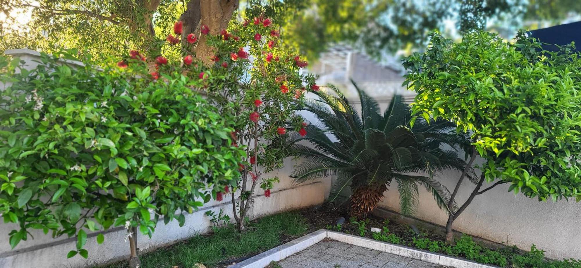 Apartments Villa Alba Dubrovník Exteriér fotografie