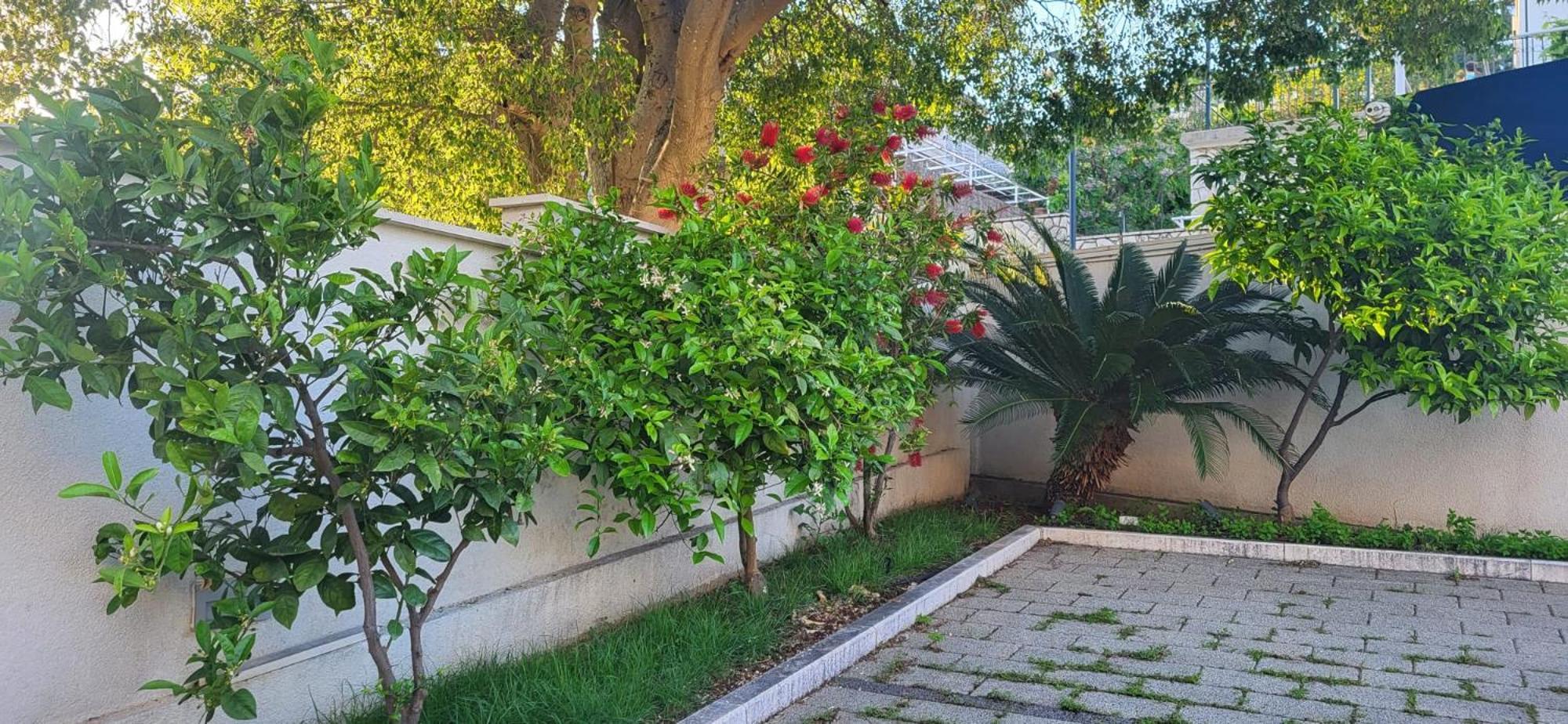 Apartments Villa Alba Dubrovník Exteriér fotografie